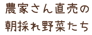 農家さん直売の朝採れ野菜たち